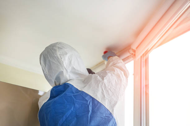 Reliable Level Park Oak Park, MI Mold Removal Services Solutions